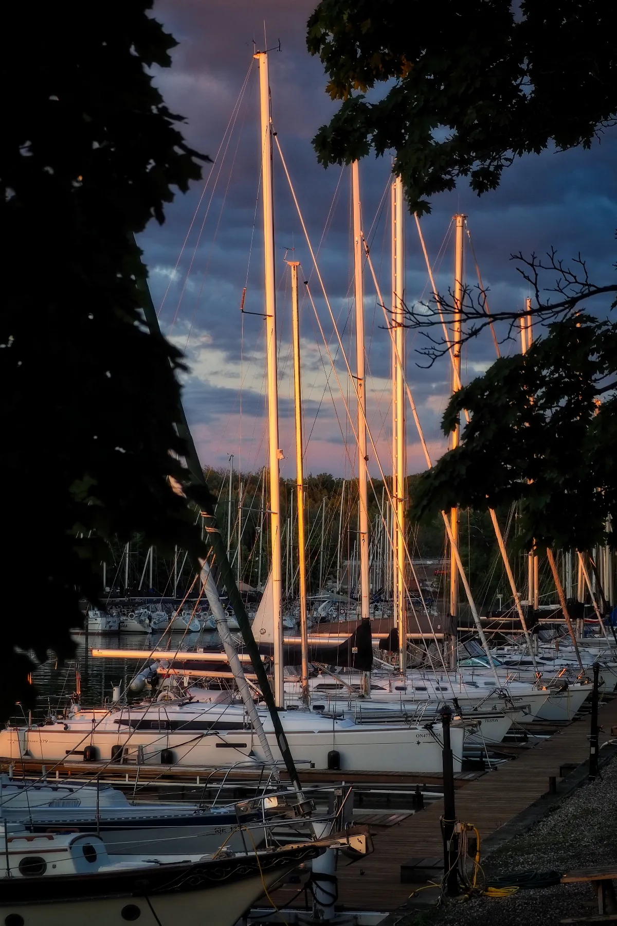 Bayfield Masts