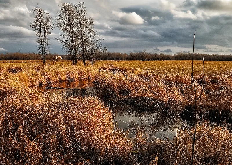 Scenic Landscapes photography in Wiarton, Ontario